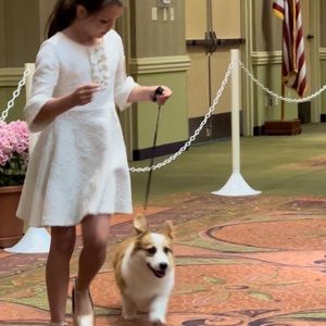 Janie and Jack jacquard dress